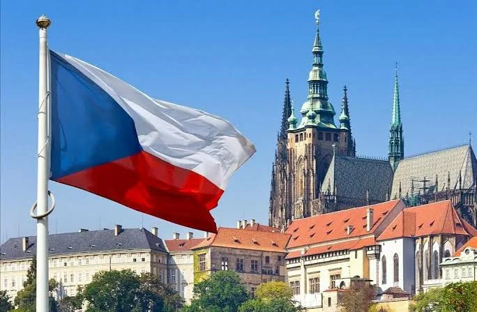 Уряд Чехії офіційно припинив процес ратифікації Стамбульської конвенції