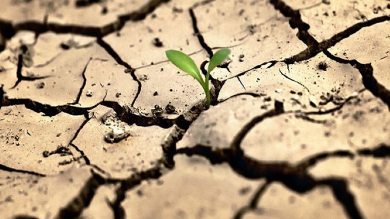 У вересні 2026 року Лев XIV закликав молитися за дбайливе ставлення до води, визнаючи її «правом без кордонів» та спільним даром для всього людства.