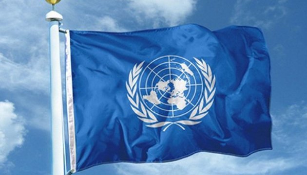 В ООН закликали Верховну Раду України «переглянути текст» законопроекту 8371