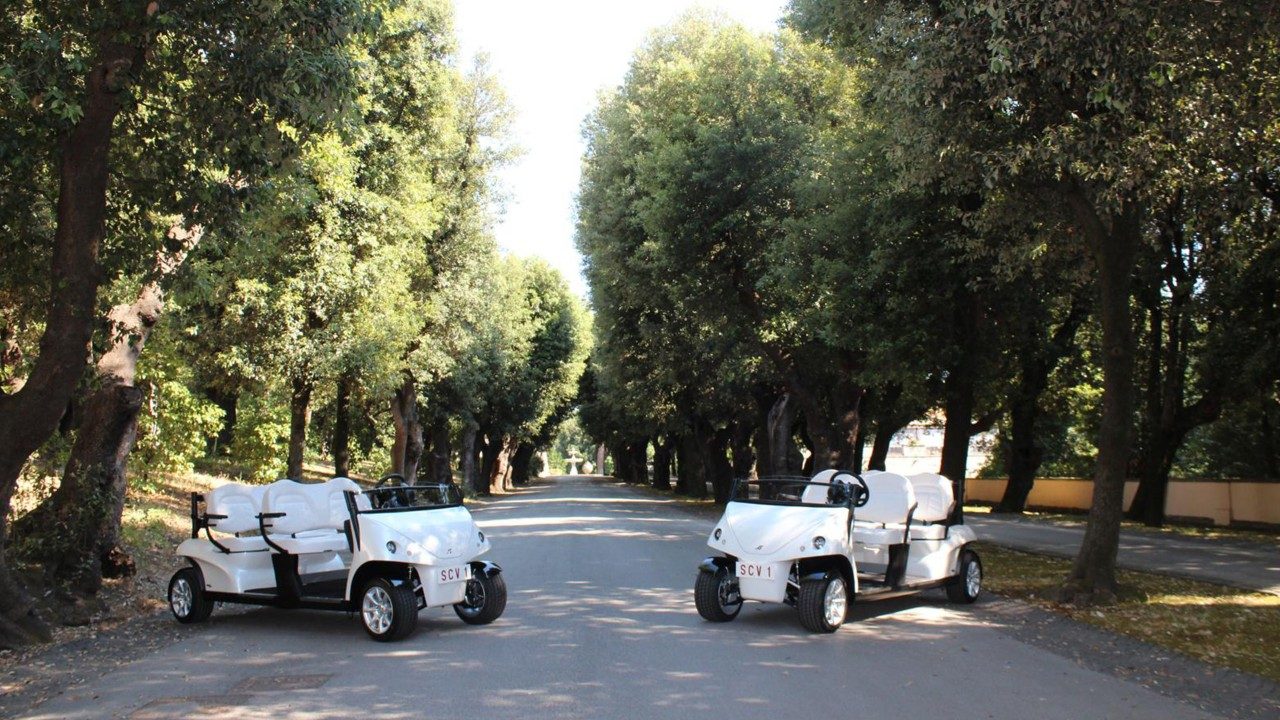 Папі Римському подарували два електромобілі для апостольських поїздок