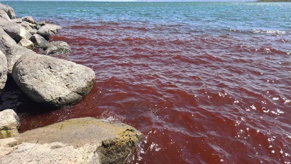Біблійне Галілейське море стало криваво-червоним: вчені дали пояснення