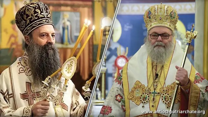 Відбулась телефонна розмова між патріархами Антіохійської і Сербської Церков